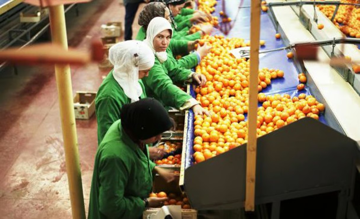 Perspectives économiques : L’exercice 2025 s’annonce sous de bons auspices Perspectives économiques : L’exercice 2025 s’annonce sous de bons auspices