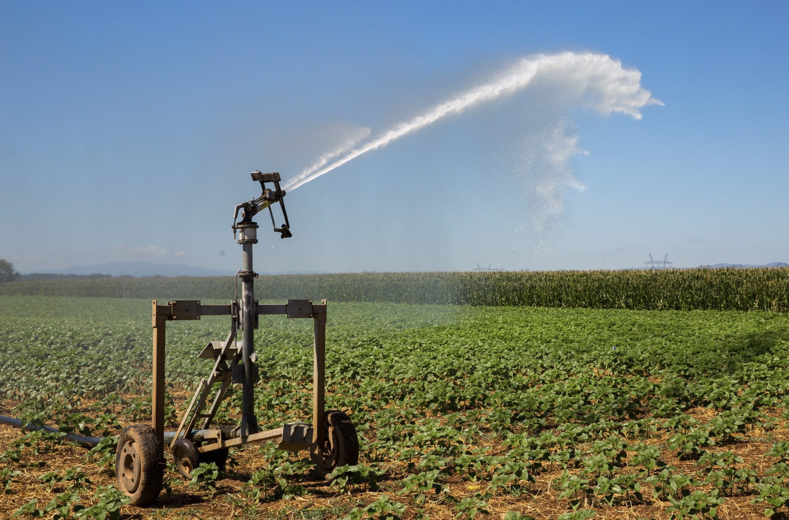 Le déficit pluviométrique ravage les stocks hydriques et les réserves des barrages à usage agricole.