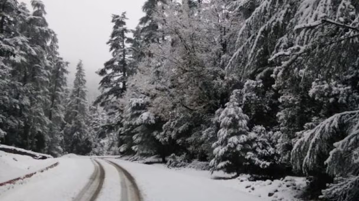 Bulletin d’alerte : Neige, averses orageuses et vents forts de mercredi à vendredi dans plusieurs provinces
