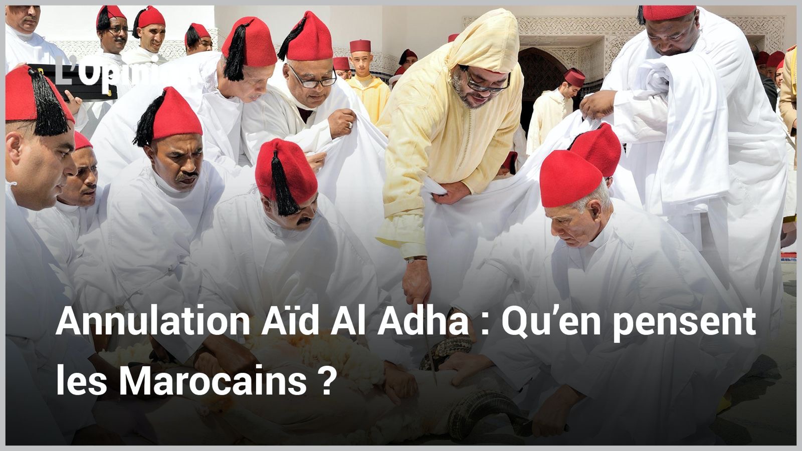 Annulation Aïd Al Adha : Qu’en pensent les Marocains ?