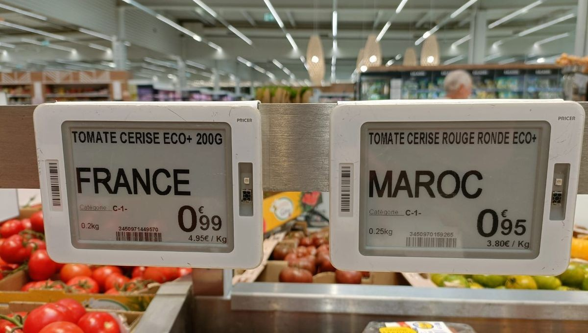 Tomates marocaines en France : Rabat et Paris visent un nouveau pacte gagnant-gagnant Tomates marocaines en France : Rabat et Paris visent un nouveau pacte gagnant-gagnant