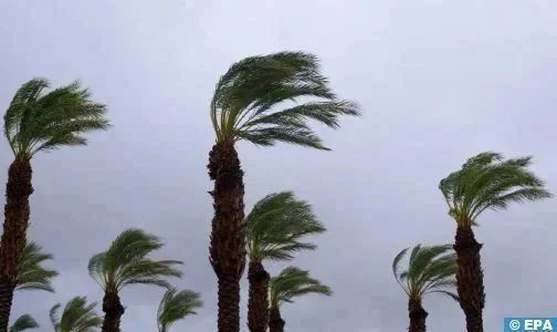 ​Fortes rafales de vent et chutes de neige, lundi et mardi, dans plusieurs provinces du Royaume (Bulletin d’alerte)