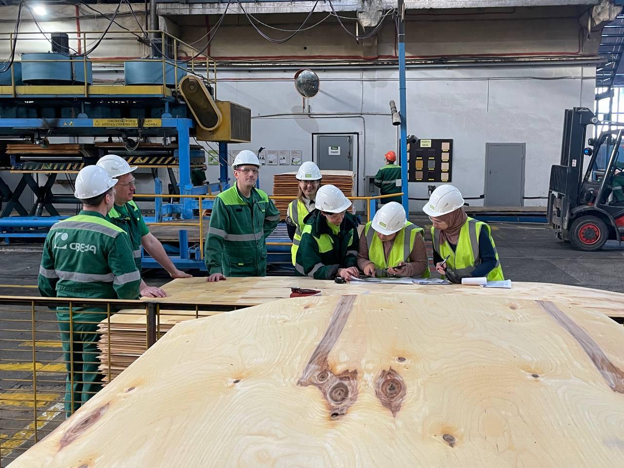 Importation de bois : Le Maroc valide l'entreprise russe Sveza comme fournisseur