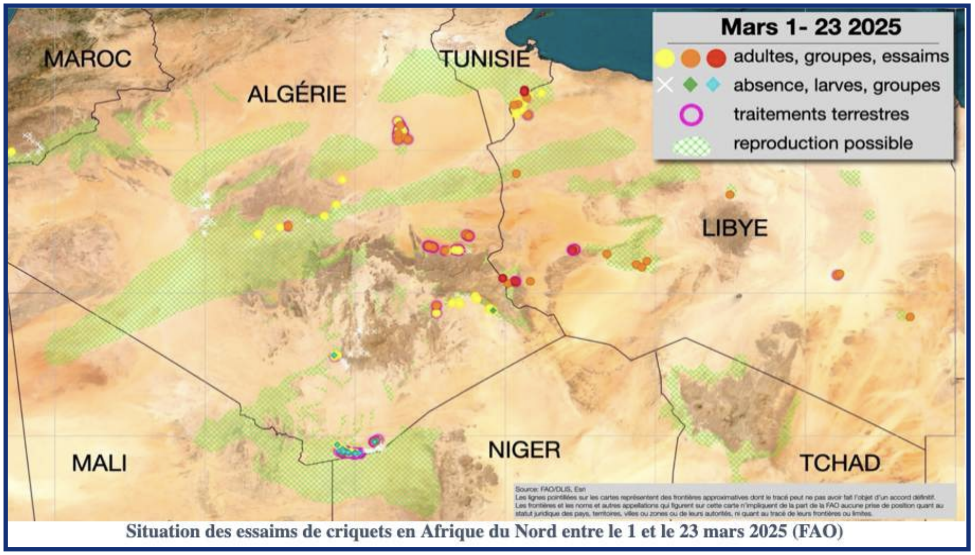 Situation des essaims de criquets en Afrique du Nord entre le 1 et le 23 mars 2025 (FAO)