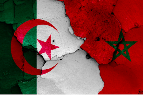 Aux origines de la guerre froide algéro-marocaine (PCNS)