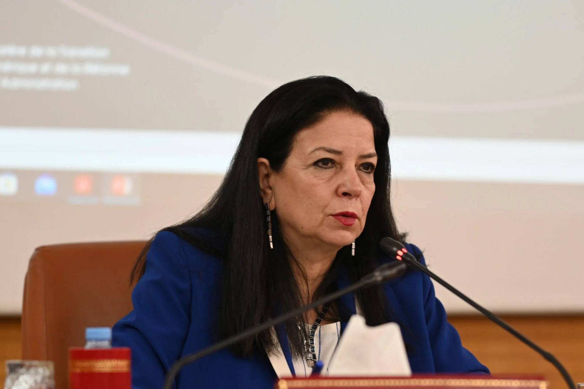 IA : Seghrouchni présente sa stratégie devant les Conseillers 