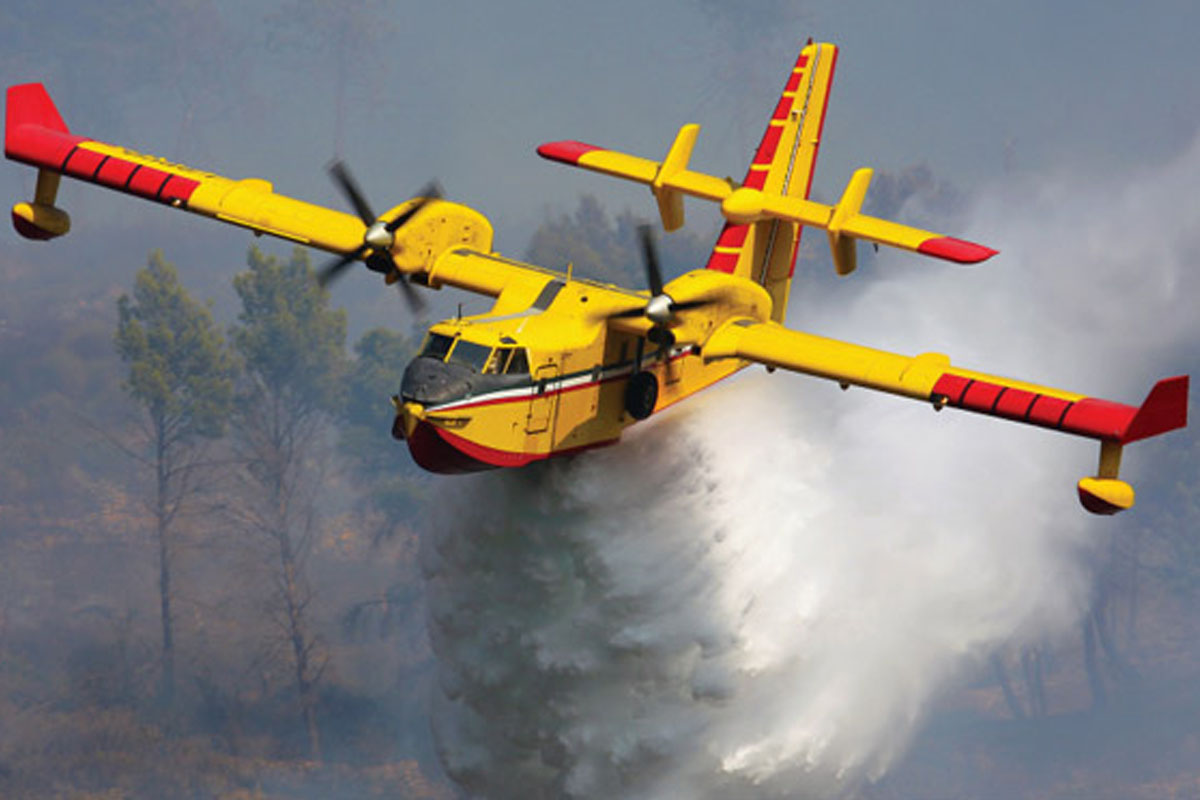 111 feux et 130 hectares brûlés depuis janvier.