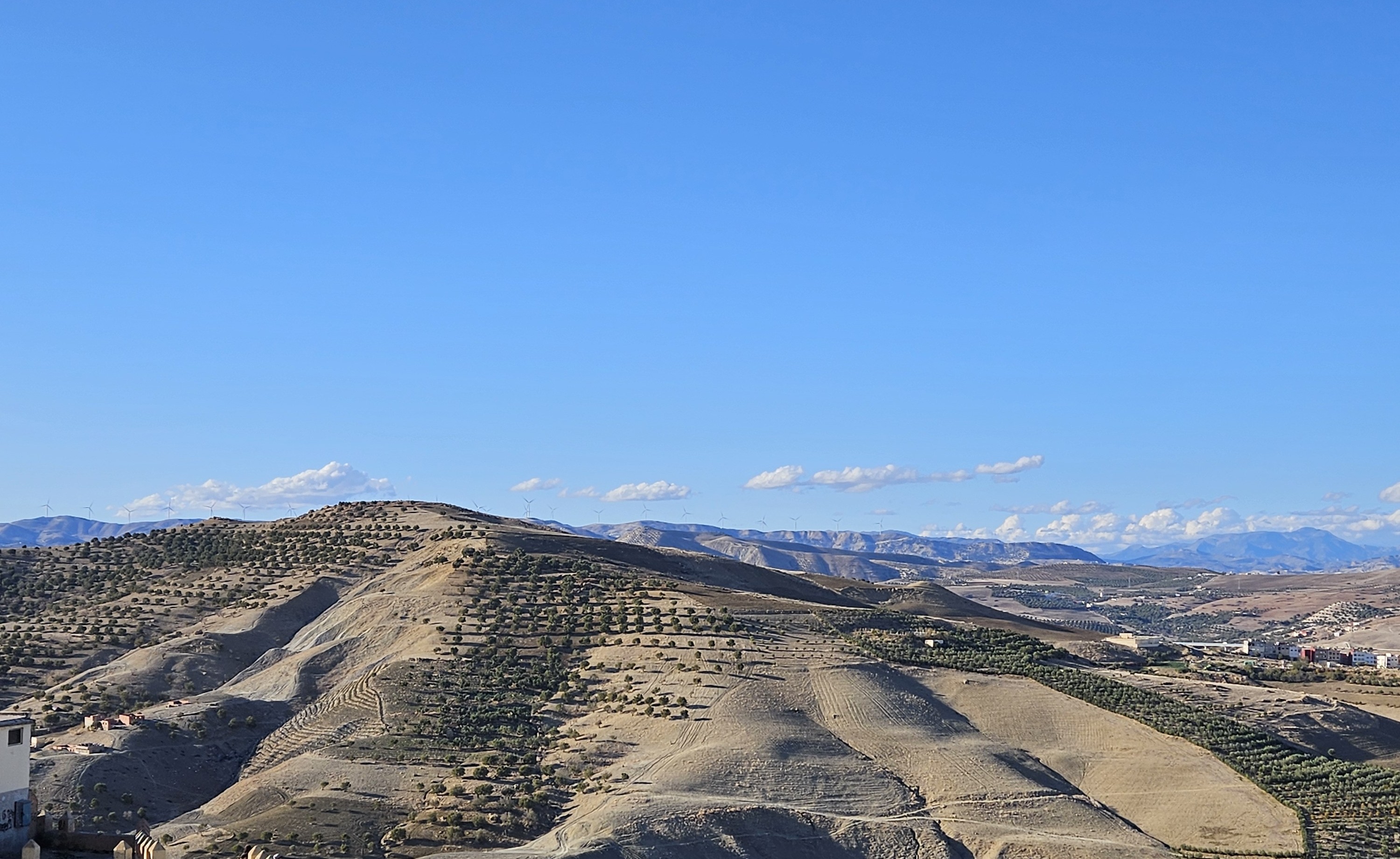 Taza l’oubliée reconquiert sa place, entre murailles du passé et vents du futur