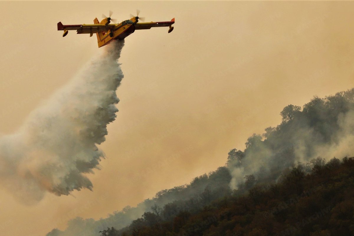 Incendie à Chefchaouen: trois sur quatre principaux foyers maîtrisés, l'extinction du foyer restant en cours (ANEF)