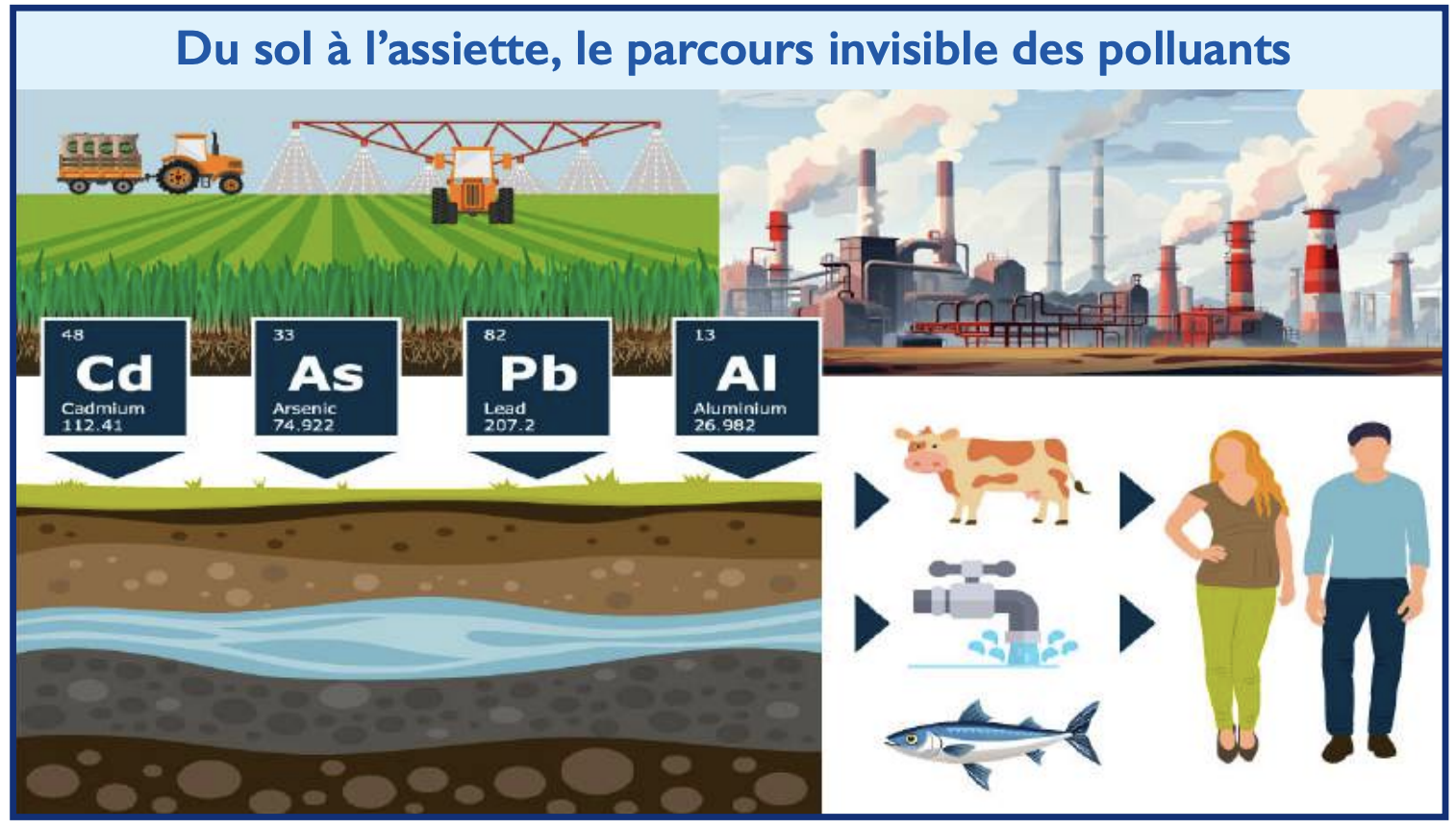 Innocuité sanitaire de nos poteries : Après le vernis, l’argile doit-elle être mise à l’index ? [INTÉGRAL]