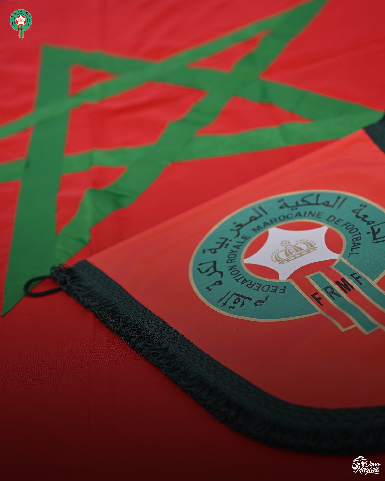 JSI Futsal : Les Lions du coup d'envoi de la demi-finale ( 17h00)