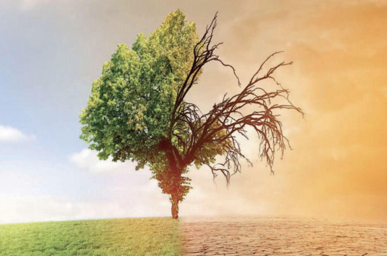 Démographie et climat : Le Maroc à l’épreuve d’une équation complexe