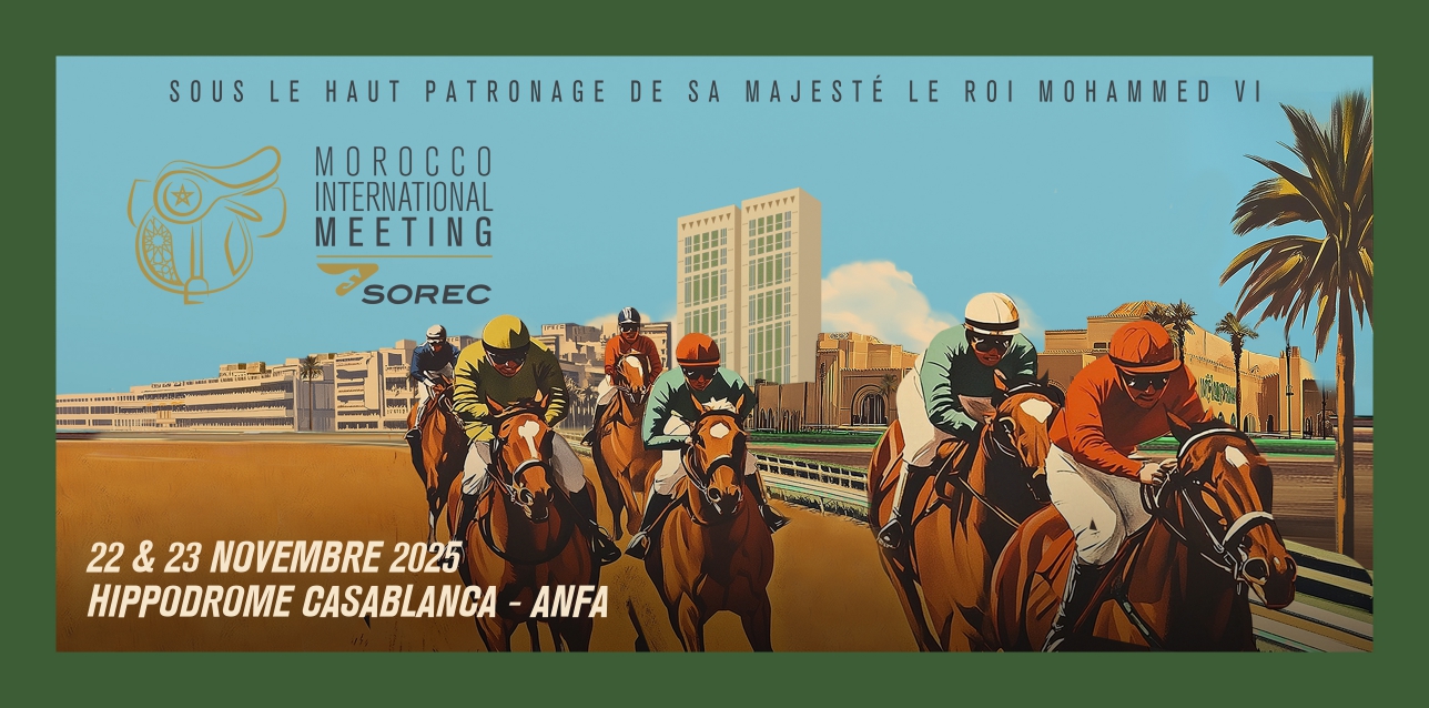 Morocco International Meeting 2025 : Casablanca accueille à nouveau l’excellence hippique marocaine
