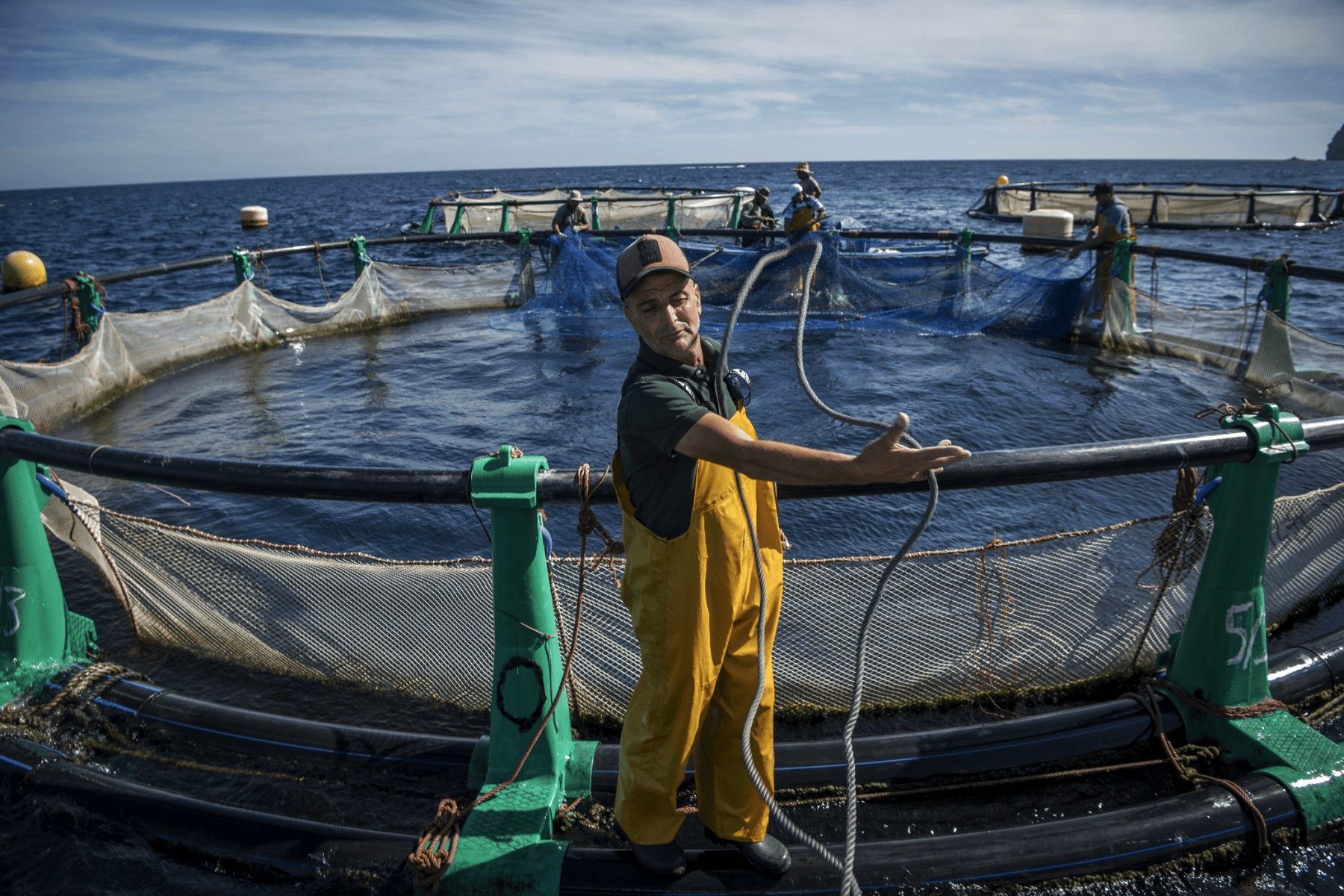Aquaculture marine : 300 fermes autorisées