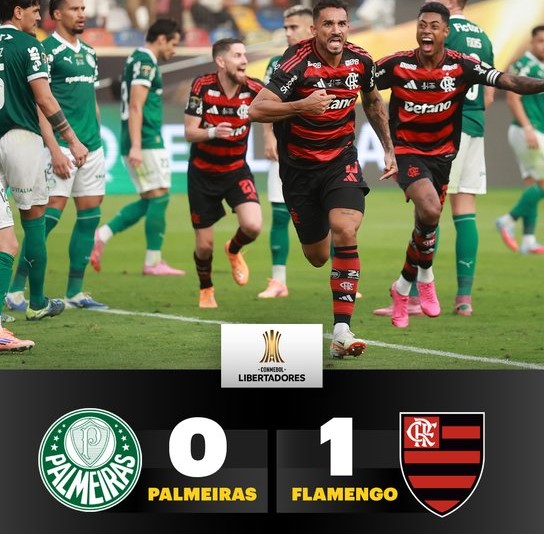 Copa Libertadores 2025 : Flamengo champion qualifié pour la Coupe Intercontinentale 25 et la CDM 29