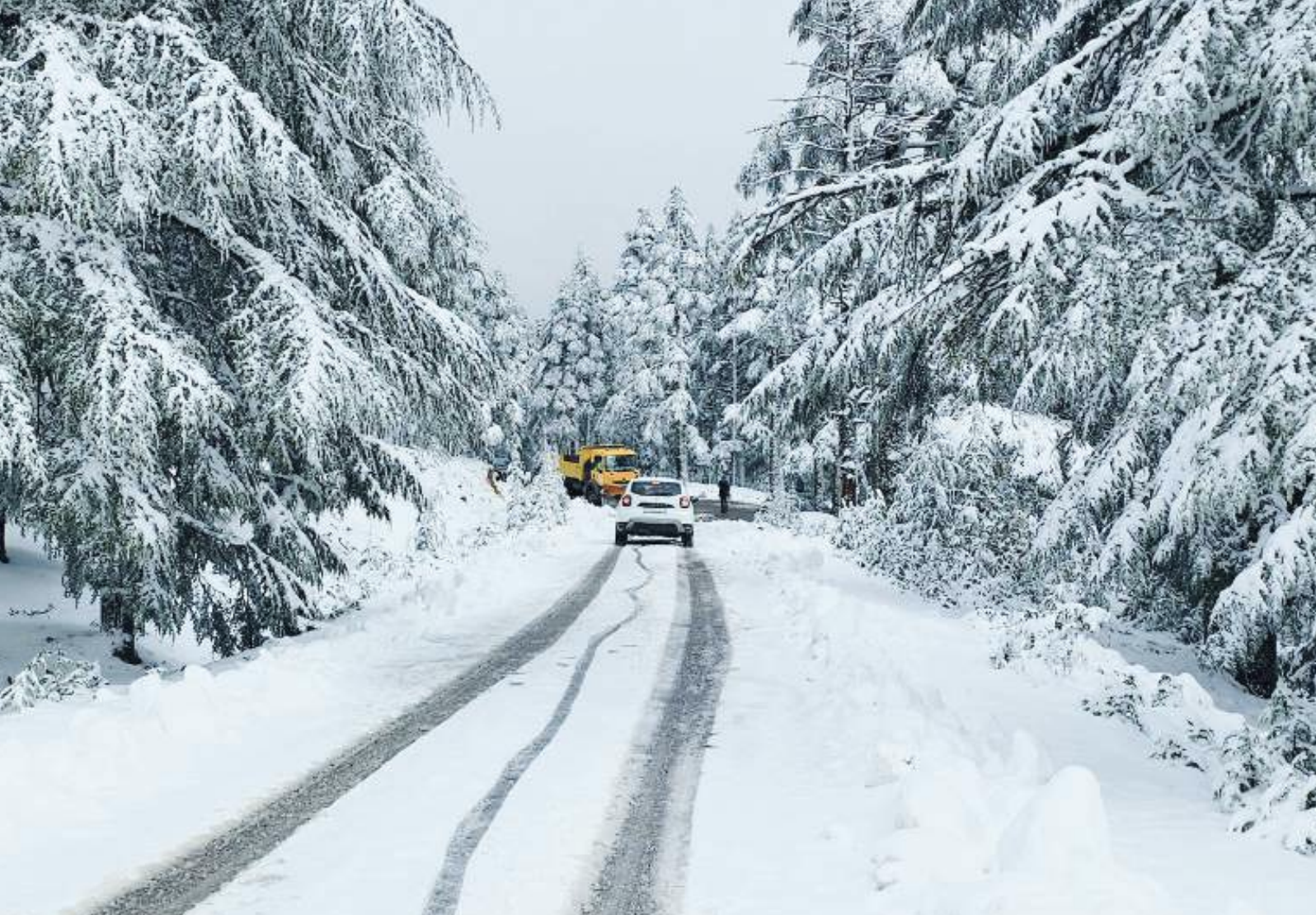Vague de froid : Face aux nuits glaciales des « lyalis »…