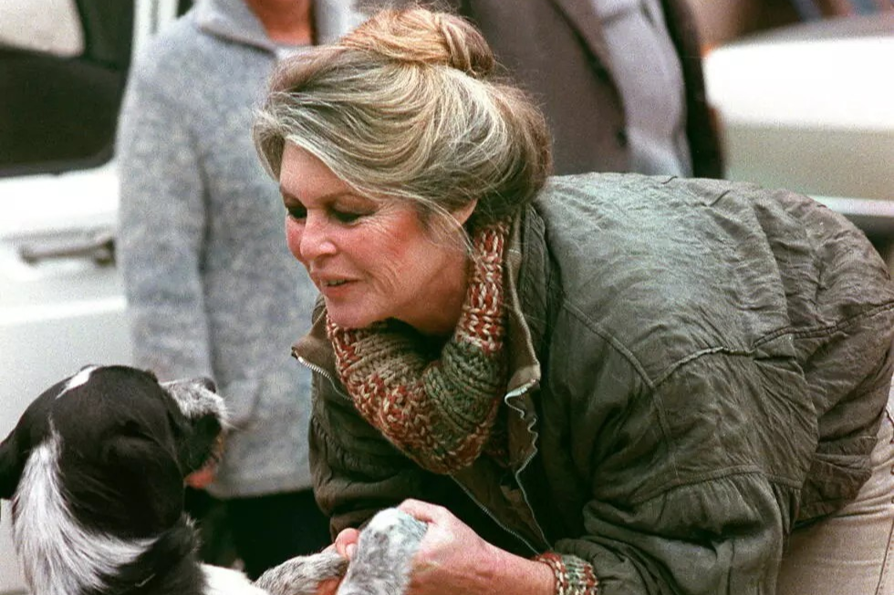 Brigitte Bardot, le 17 janvier 1989 à Cabriès, dans le sud de la France © GERARD FOUET / AFP/Archives