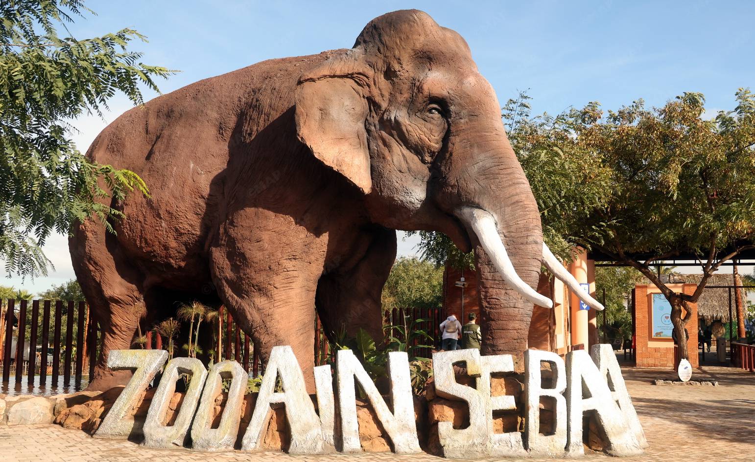 Casablanca : Le parc zoologique d’Aïn Sebaâ rouvre ses portes après un vaste réaménagement