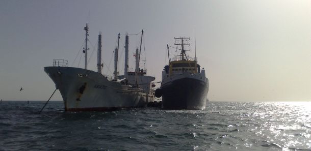 Pêche : la Russie commence à répartir les quotas dans les eaux marocaines