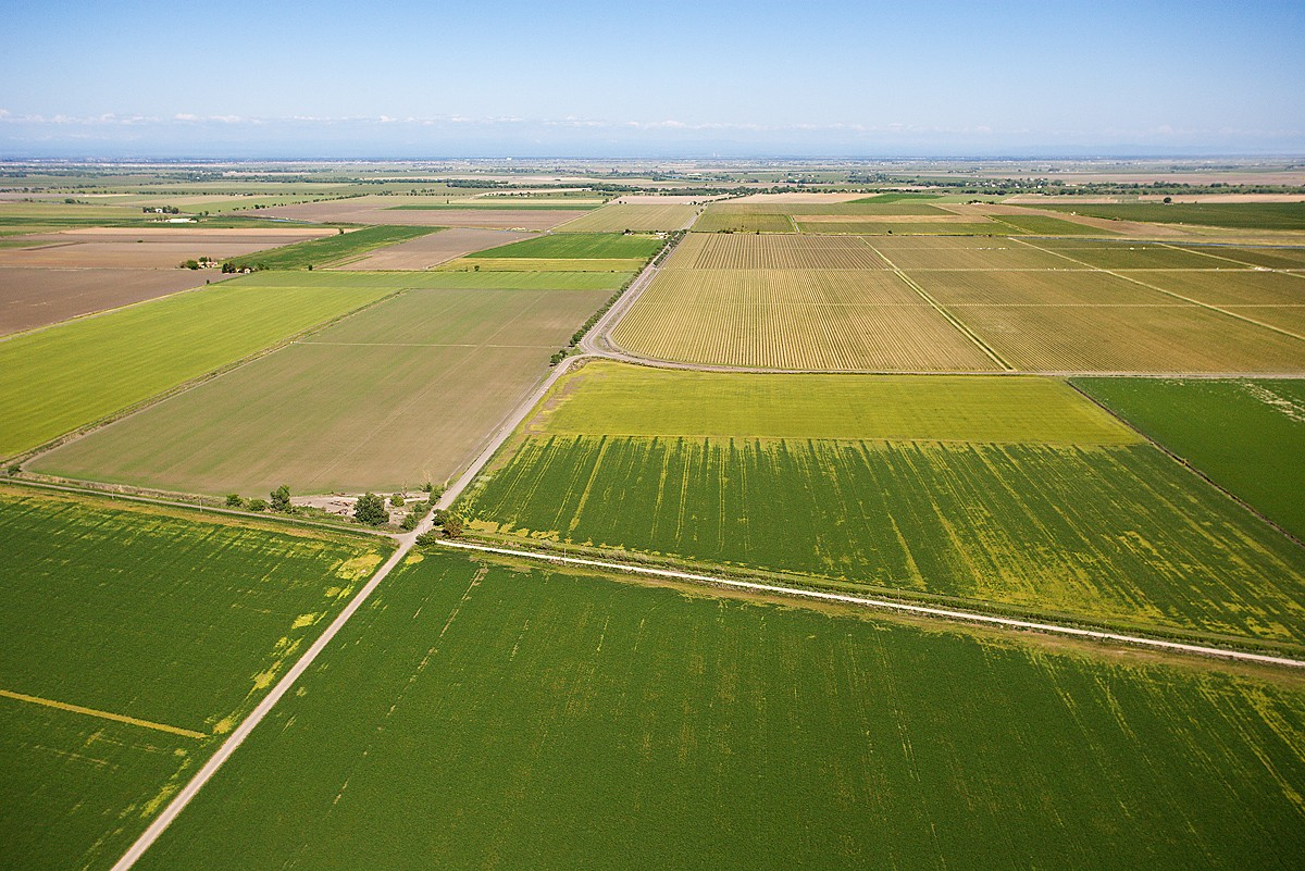 Fès-Meknès : Une campagne agricole 2025-2026 sous des horizons "très favorables"