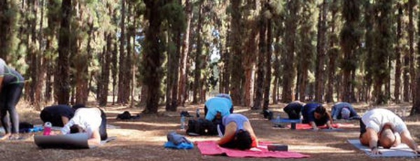 Yoga : une issue pour gérer le stress