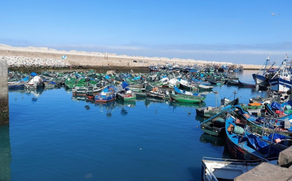 Safi : Une hausse de plus de 100% en poids des Produits de la pêche commercialisés en janvier