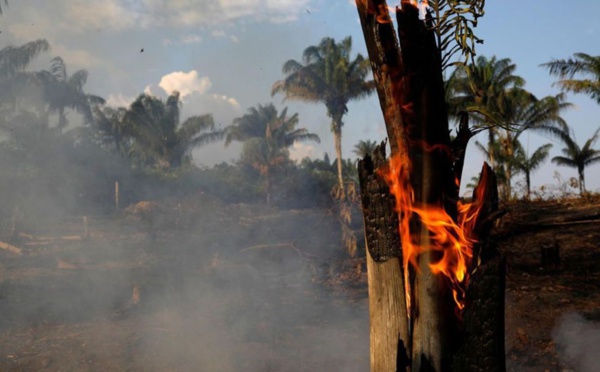Etude : Plus de 60 % des zones récupérées de l'Amazonie brésilienne ont été à nouveau dévastées