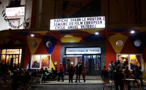 Chambres professionnelles du cinéma au Maroc : Un cri d'alarme contre le déclin et l'exclusion