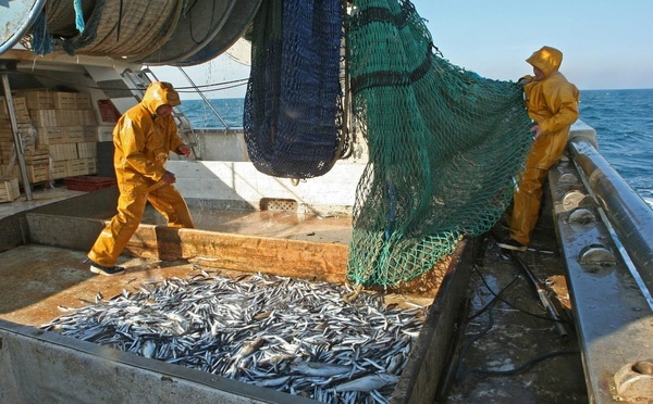 ​Safi, phare d'une pêche en regain