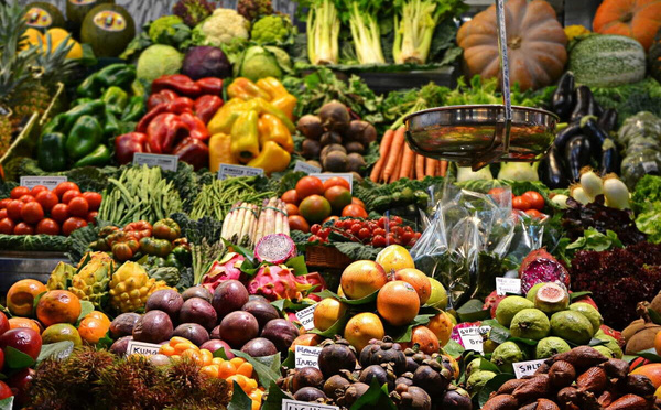 Souveraineté alimentaire : Le Maroc mange-t-il encore ce qu’il produit ?