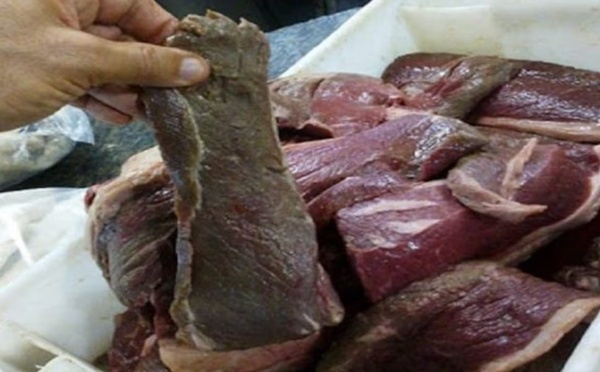 ​Tanger: La gendarmerie royale déjoue un trafic de 952 kilos de viande viande avariée