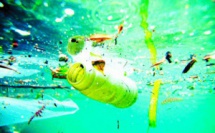 A peine 10% des déchets en plastique recyclés au Maroc