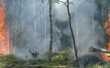 Sécheresse : départ précoce de la saison des feux de forêts