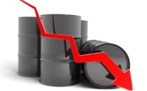 Effondrement des cours du brut: L’OPEP et ses alliés essaient de réagir
