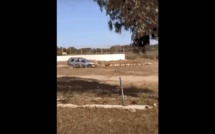 Plage David: Massacre de moutons par voiture-bélier 