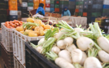 Approvisionnement : Les agriculteurs en ordre de bataille