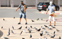 Les R’batis prennent soin de nourrir les pigeons