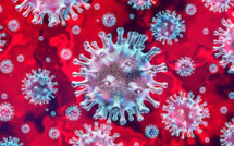 Taux de reproduction du coronavirus: le plus bas seuil depuis le début de la pandémie 