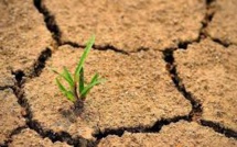 Journée internationale de lutte contre la désertification: Le Maroc soutient la gestion durable des terres