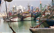 La pêche côtière et artisanale en recul au T1-2020