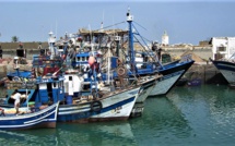 A Safi, la pêche artisanale et côtière souffre