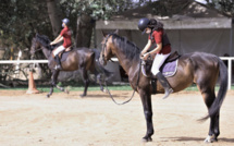 Sports équestres : Les chevaux reprennent du collier