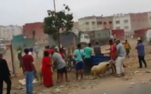 Vingt interpellations pour vol, violence et jets de pierres dans un marché de bétails à Casablanca