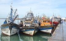 Laâyoune: Les pêcheurs de poulpe soumis aux tests de dépistage avant la reprise