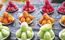 Doukkala / Figues de Barbarie : La Cochenille du cactus flambe les prix !