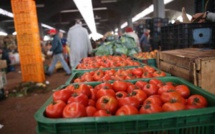 La tomate marocaine attaquée par l'UEEA