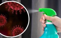 Un produit anti-moustique s'est révélé efficace contre le nouveau coronavirus