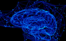 Neuroscience : Les implants Neuralink bientôt prêts pour les tests sur l’Homme