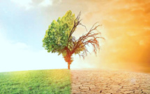 Tanger : Vers la création de la Maison méditerranéenne du climat