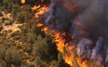 Syrie : Des feux de forêt font rage sur tout le littoral